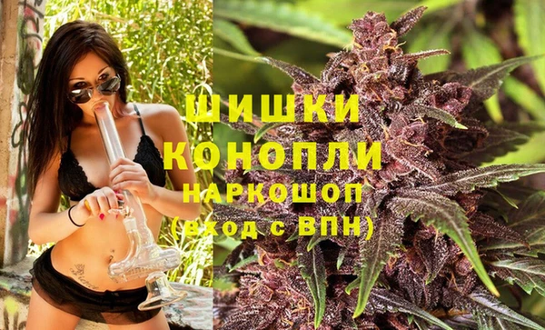 spice Балабаново