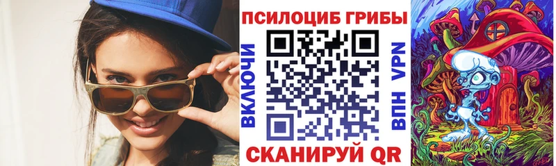 мега tor  Нурлат  Псилоцибиновые грибы мицелий 